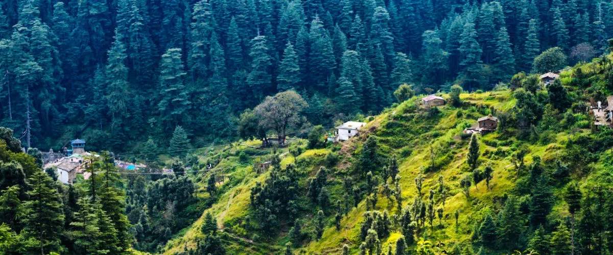 10-places-to-visit-in-ranikhet-picturesque-valley-called-queen-s-meadows